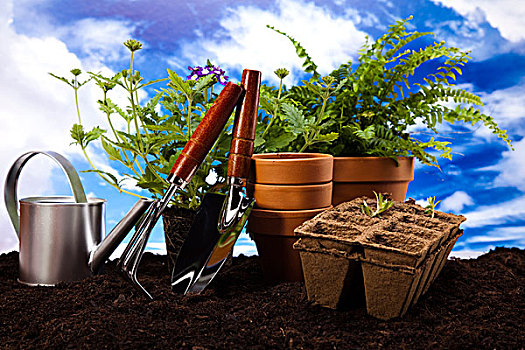 xổ số kiên giang chủ nhật hàng tuần