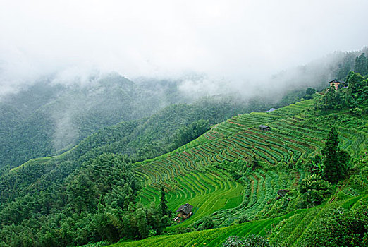 soi cau du doan xsmb