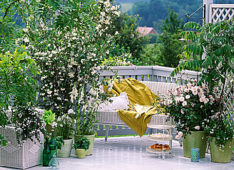 lô đề trực tuyến