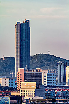bạch thủ lô