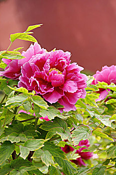 diễn đàn xổ số