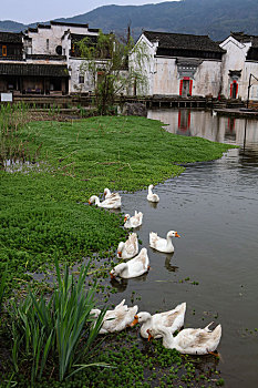 xổ số ba miền hôm nay
