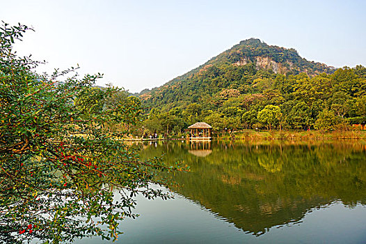 xô sô miên nam