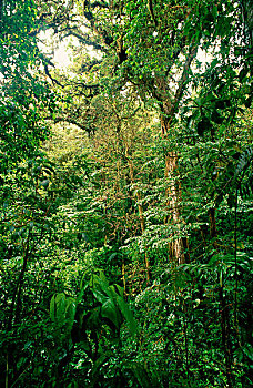 cách đánh lô đề