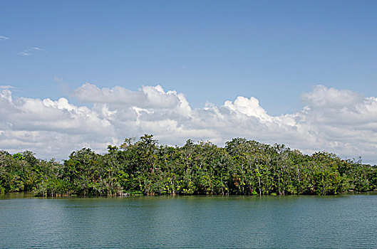 soi cau qtri