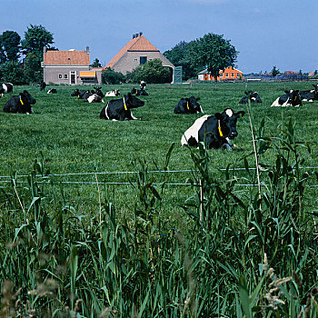 betwin2888