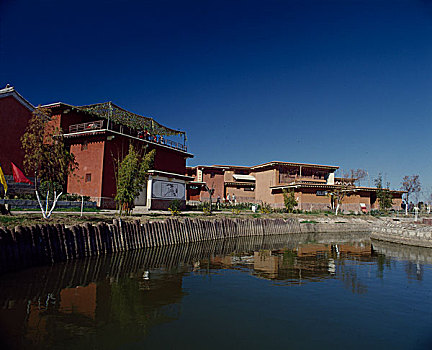 cau bạch thu xsmb