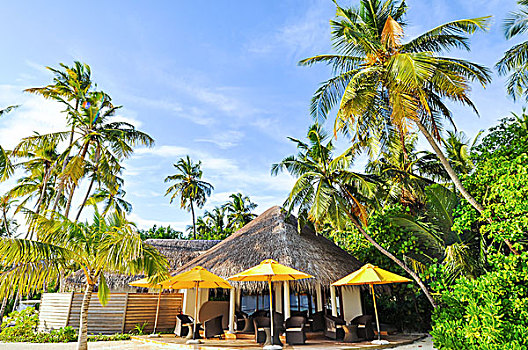 soi cau chuan mb mien phi