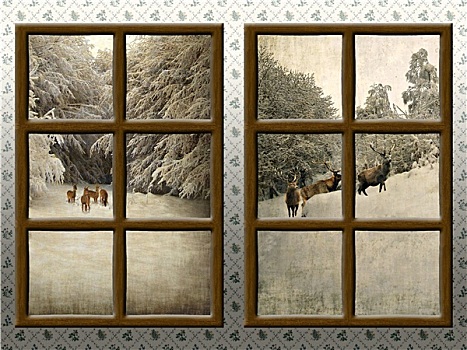 thống kê xổ số gia lai