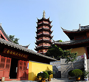 soi cau lo mien nam