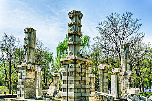dự đoán wap