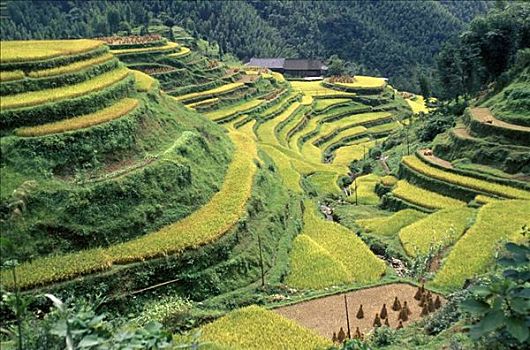 du doan trung thuong mien bac