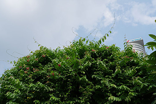 số kiên giang
