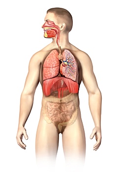 xổ số miền bắc thứ hai tuần trước